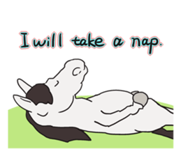 Shirouma-kun English ver. sticker #4835002