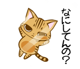 Confined cat sticker #4836388