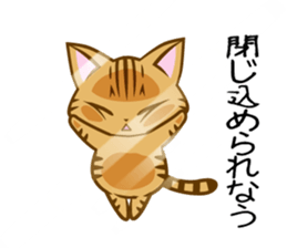 Confined cat sticker #4836389