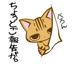 Confined cat sticker #4836396