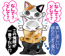 Confined cat sticker #4836422