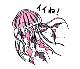 jellyfish picture sticker sticker #4836906