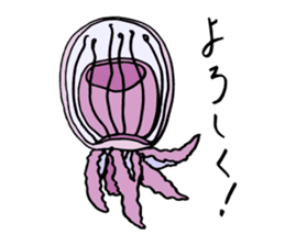 jellyfish picture sticker sticker #4836907