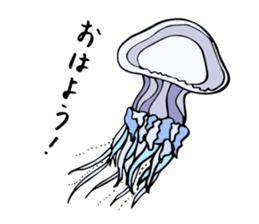 jellyfish picture sticker sticker #4836913