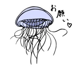 jellyfish picture sticker sticker #4836924