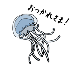 jellyfish picture sticker sticker #4836926