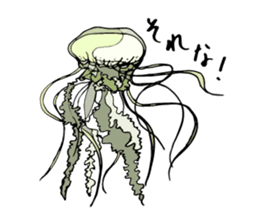 jellyfish picture sticker sticker #4836928
