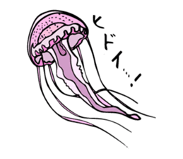 jellyfish picture sticker sticker #4836939