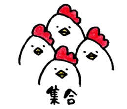 Mr. NIWA of a chicken sticker #4836950