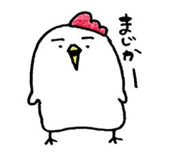 Mr. NIWA of a chicken sticker #4836971