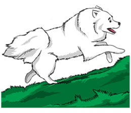 Pocket K-9: Snow Dog sticker #4837060