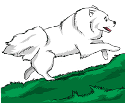 Pocket K-9: Snow Dog sticker #4837060