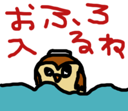 Convenient owl sticker #4837654