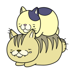 Daily life of Tama and Tora