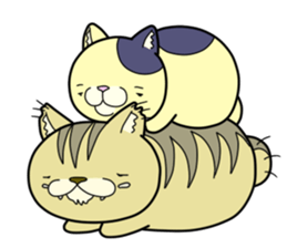 Daily life of Tama and Tora sticker #4837943