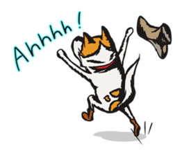 Capricious Leo: Boy Meets Girl ENG VER. sticker #4838230