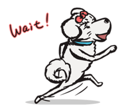 Capricious Leo: Boy Meets Girl ENG VER. sticker #4838231