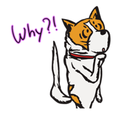 Capricious Leo: Boy Meets Girl ENG VER. sticker #4838251