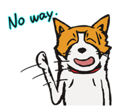 Capricious Leo: Boy Meets Girl ENG VER. sticker #4838253