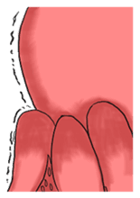 Octopus-kun sticker #4840788