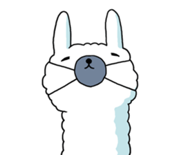 A l p a c a 4 sticker #4841652