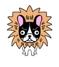 BOBU - Boston Terrier French Bulldog sticker #4842244