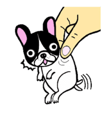 BOBU - Boston Terrier French Bulldog sticker #4842246