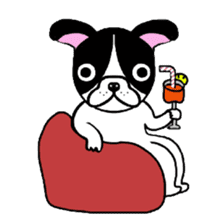 BOBU - Boston Terrier French Bulldog sticker #4842250