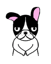 BOBU - Boston Terrier French Bulldog sticker #4842262