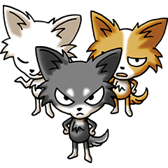 Anger Chihuahua Dog(Japanese)