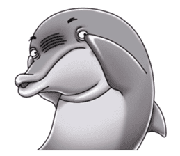Annoyed dolphin sticker #4844055