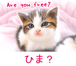 Painting of Kittens 2 sticker #4845080