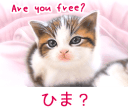 Painting of Kittens 2 sticker #4845080