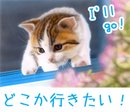 Painting of Kittens 2 sticker #4845081