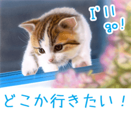 Painting of Kittens 2 sticker #4845081