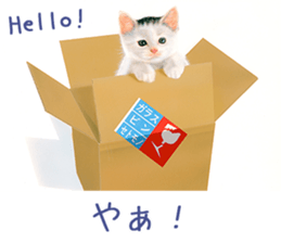 Painting of Kittens 2 sticker #4845082