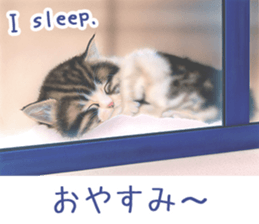 Painting of Kittens 2 sticker #4845085