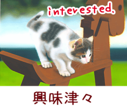 Painting of Kittens 2 sticker #4845088