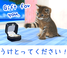 Painting of Kittens 2 sticker #4845090