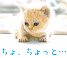 Painting of Kittens 2 sticker #4845097