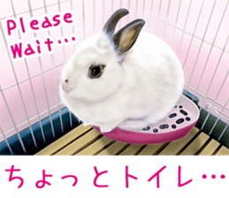 Painting of Kittens 2 sticker #4845098