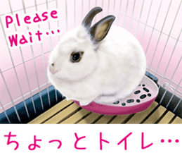 Painting of Kittens 2 sticker #4845098