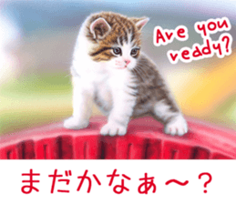 Painting of Kittens 2 sticker #4845100