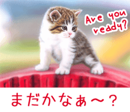 Painting of Kittens 2 sticker #4845100