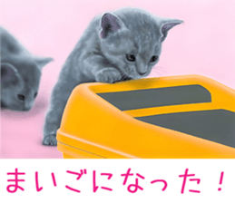 Painting of Kittens 2 sticker #4845102