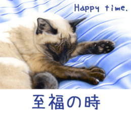 Painting of Kittens 2 sticker #4845106