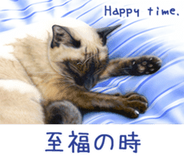 Painting of Kittens 2 sticker #4845106