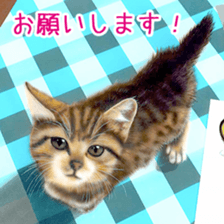 Painting of Kittens 2 sticker #4845109