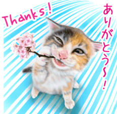 Painting of Kittens 2 sticker #4845110