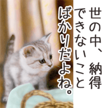 Painting of Kittens 2 sticker #4845111